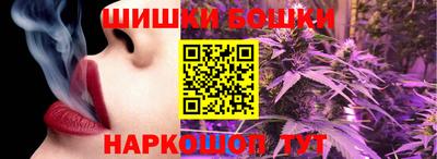 дживик Камышлов