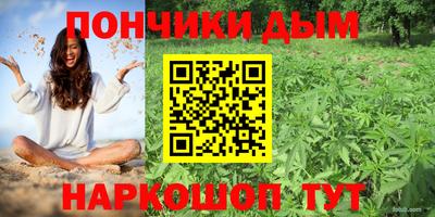 шишки Канаш