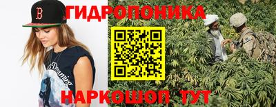 дживик Камышлов