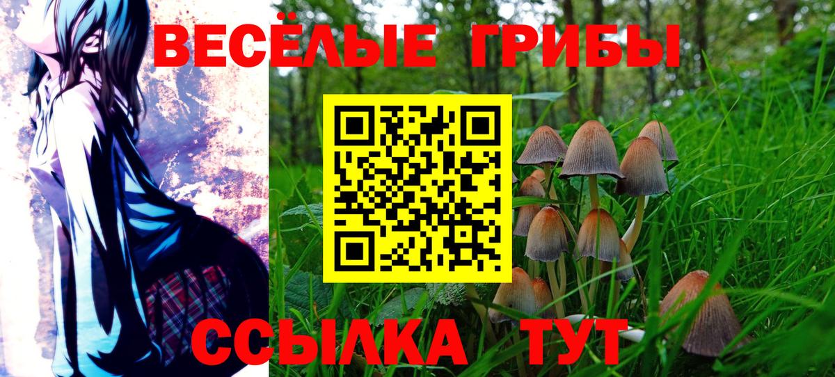 Псилоцибиновые грибы Psilocybine cubensis  Вход с VPN  Кудрово  Галлюциногенные грибы прущие грибы 